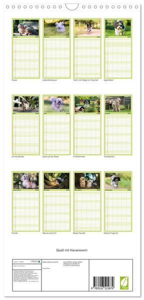 Produktbild: Familienplaner 2026 - Spa&szlig; mit Havanesern mit 5 Spalten (Wandkalender, 21 x 45 cm) CALVENDO