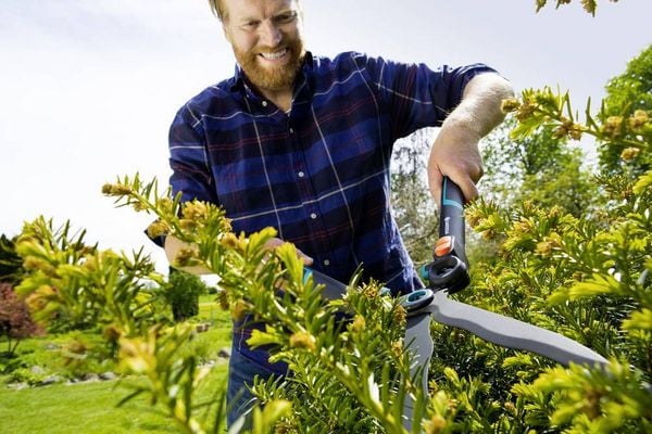 Produktbild: GARDENA 2in1 EnergyCut Hand Heckenschere