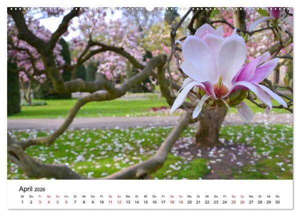 Produktbild: SCHW&Auml;BISCH-BADISCHE LANDSCHAFTEN (Wandkalender 2026 DIN A2 quer), CALVENDO Monatskalender