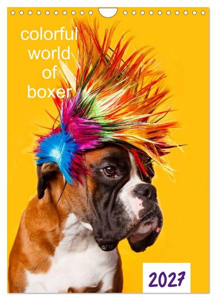 Produktbild: colorful world of boxer 2027 (Wandkalender 2027 DIN A4 hoch), CALVENDO Monatskalender
