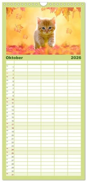 Produktbild: Familienplaner 2026 - K&auml;tzchen 2026 mit 5 Spalten (Wandkalender, 21 x 45 cm) CALVENDO