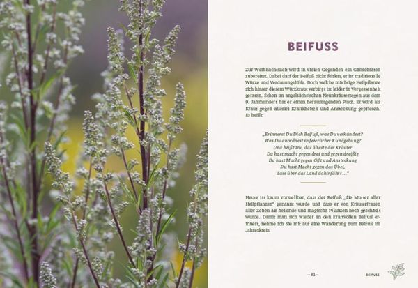 Produktbild: Die wilden Neun