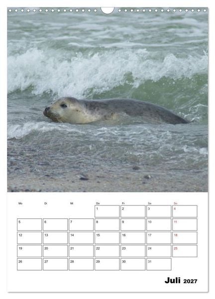 Produktbild: Liebenswerte Robben (Wandkalender 2027 DIN A3 hoch), CALVENDO Monatskalender