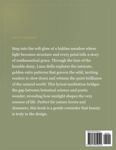 Produktbild: The architecture of sunlight