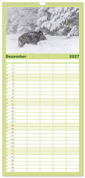 Produktbild: Familienplaner 2027 - Wildschweine &ndash; Wildlife Fotografien mit 5 Spalten (Wandkalender, 21 x 45 cm) CALVENDO