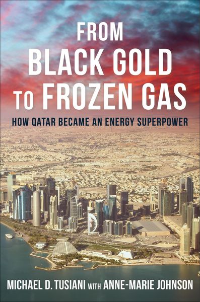 Produktbild: From Black Gold to Frozen Gas