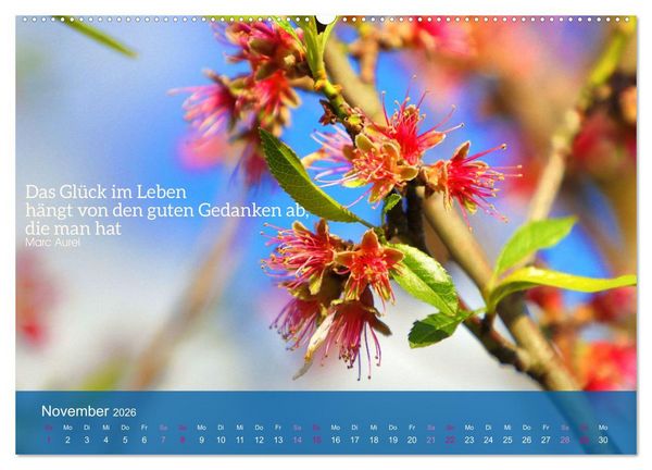 Produktbild: FASZINATION MANDELBL&Uuml;TE (hochwertiger Premium Wandkalender 2026 DIN A2 quer), Kunstdruck in Hochglanz