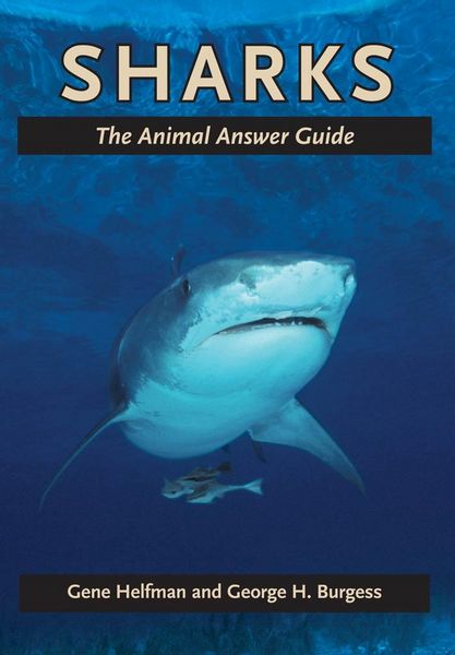 Produktbild: Sharks