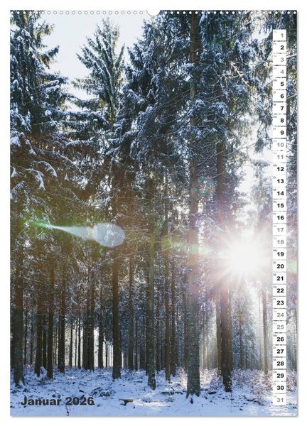 Produktbild: EIFEL - Kraftorte Wald und Wasser (hochwertiger Premium Wandkalender 2026 DIN A2 hoch), Kunstdruck in Hochglanz