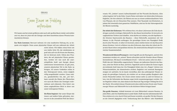 Produktbild: Die Welt der Naturgeister - Das Arbeitsbuch
