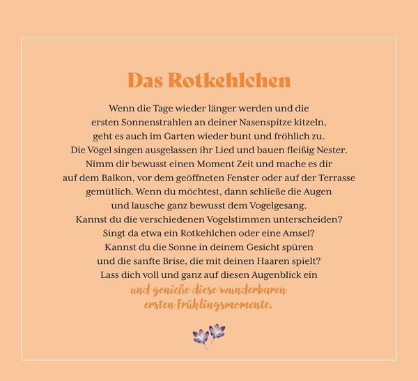 Produktbild: Kleine Wunder in meinem Garten