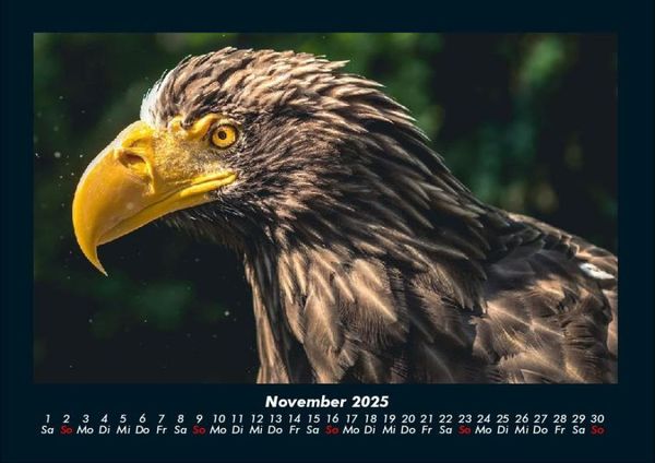 Produktbild: Adler 2025 Fotokalender DIN A4