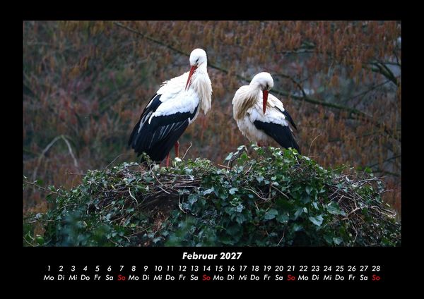 Produktbild: V&ouml;gel 2027 Fotokalender DIN A3