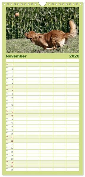 Produktbild: Familienplaner 2026 - Nova Scotia Duck Tolling Retriever mit 5 Spalten (Wandkalender, 21 x 45 cm) CALVENDO