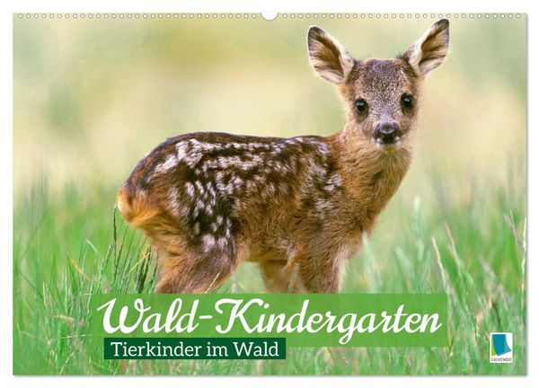 Produktbild: Wald-Kindergarten: Tierkinder im Wald (Wandkalender 2026 DIN A2 quer), CALVENDO Monatskalender