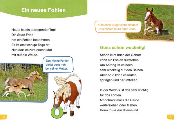 Produktbild: WAS IST WAS Erstes Lesen easy! Komm mit zu den Pferden