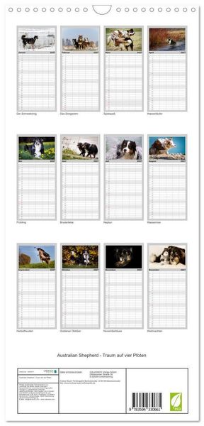 Produktbild: Familienplaner 2027 - Australian Shepherd - Traum auf vier Pfoten mit 5 Spalten (Wandkalender, 21 x 45 cm) CALVENDO