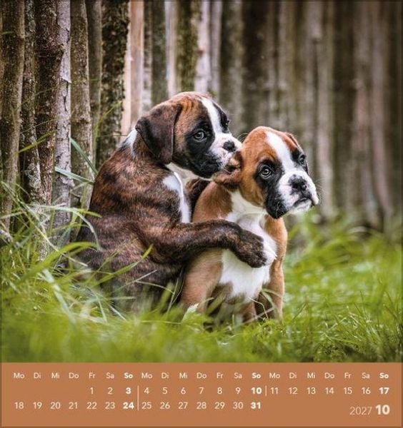Produktbild: Hunde 2027