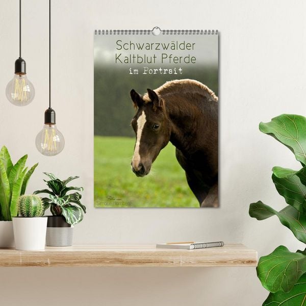 Produktbild: Schwarzw&auml;lder Kaltblut Pferde im Portrait (Wandkalender 2026 DIN A3 hoch), CALVENDO Monatskalender