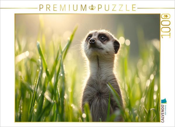 Produktbild: CALVENDO Puzzle Fr&uuml;hling, Ich bin bereit | 1000 Teile Lege-Gr&ouml;&szlig;e 64x48cm Foto-Puzzle f&uuml;r gl&uuml;ckliche Stunden