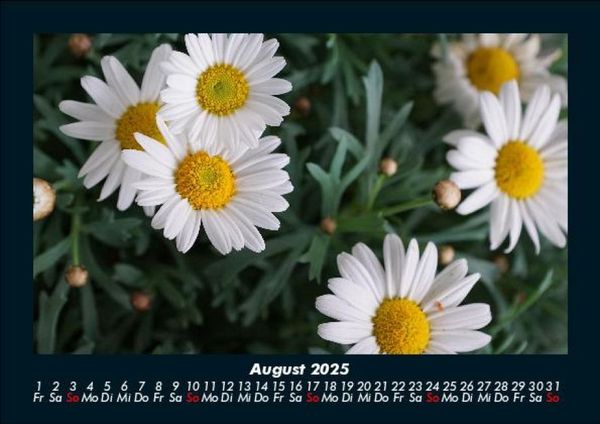 Produktbild: Blumenzauber 2025 Fotokalender DIN A5