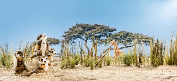 Produktbild: Steiff 068041 - Bendy Giraffe, stehend, Pl&uuml;sch, 45 cm
