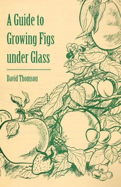 Produktbild: A Guide to Growing Figs Under Glass