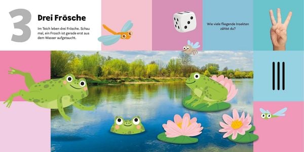 Produktbild: Mein Memo-Buch Z&auml;hlen und Spielen
