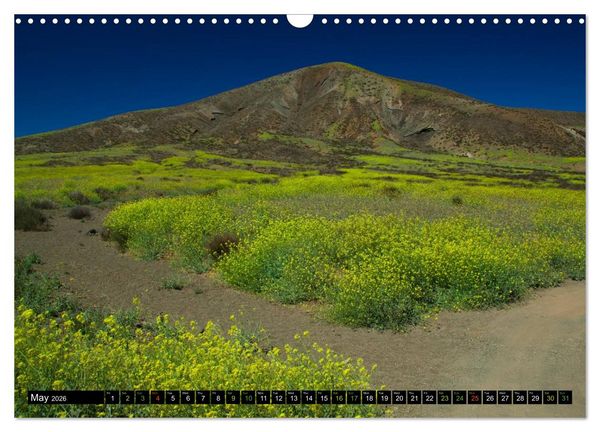 Produktbild: Cabo Verde - Africa's Dream Archipelago (Wall Calendar 2026 DIN A3 landscape), CALVENDO 12 Month Wall Calendar
