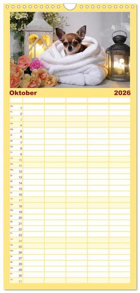 Produktbild: Familienplaner 2026 - Chillige Chihuahuas - Entspannte Fellnasen genie&szlig;en das Leben mit 5 Spalten (Wandkalender, 21 x 45 cm) CALVENDO