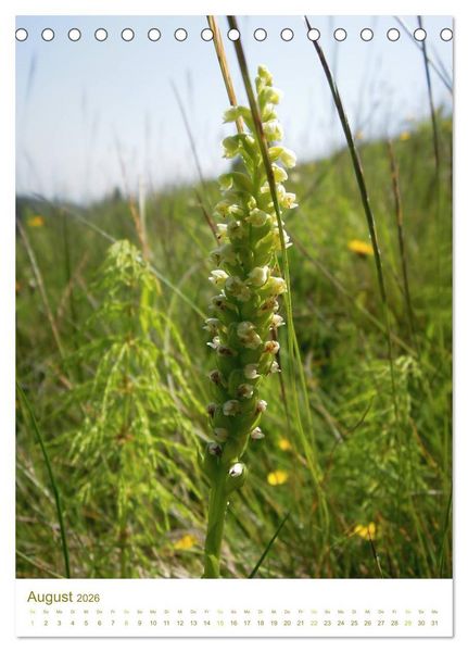 Produktbild: Alpenblumen (Tischkalender 2026 DIN A5 hoch), CALVENDO Monatskalender