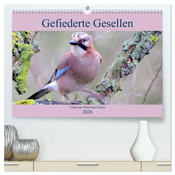 Produktbild: Gefiederte Gesellen - V&ouml;gel aus Wald und Garten (hochwertiger Premium Wandkalender 2026 DIN A2 quer), Kunstdruck in Hochglanz
