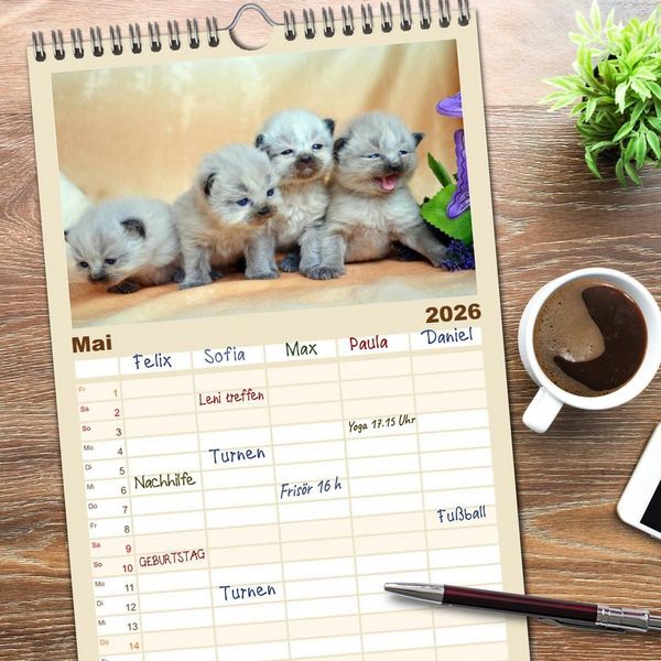 Produktbild: Familienplaner 2026 - Katzenparade mit 5 Spalten (Wandkalender, 21 x 45 cm) CALVENDO