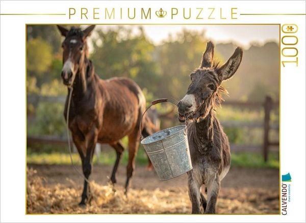CALVENDO Puzzle Gestern war hier etwas leckeres drin - spielender Esel | 1000 Teile Lege-Größe 64x48cm Foto-Puzzle für glückliche Stunden