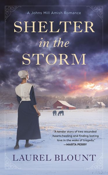 Produktbild: Shelter in the Storm