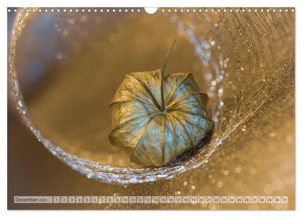 Produktbild: Kunstvolle Physalis-Kleine Frucht von gro&szlig;er Faszination (Wandkalender 2026 DIN A3 quer), CALVENDO Monatskalender