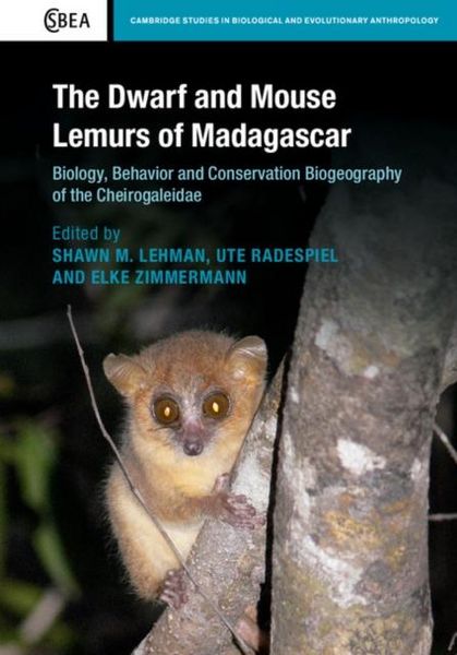 Produktbild: Dwarf and Mouse Lemurs of Madagascar