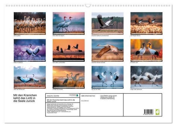 Produktbild: Mit den Kranichen kehrt das Licht in die Seele zur&uuml;ck (Wandkalender 2027 DIN A2 quer), CALVENDO Monatskalender