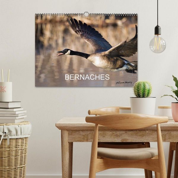 Produktbild: BERNACHES (Calendrier mural 2026 DIN A3 vertical), CALVENDO calendrier mensuel