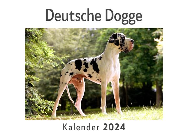 Produktbild: Deutsche Dogge (Wandkalender 2024, Kalender DIN A4 quer, Monatskalender im Querformat mit Kalendarium, Das perfekte Geschenk)