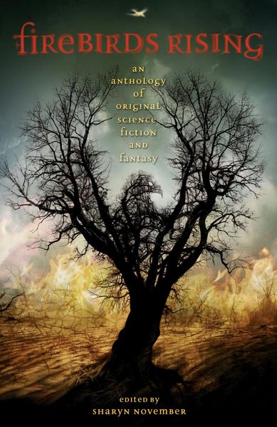 Produktbild: Firebirds Rising