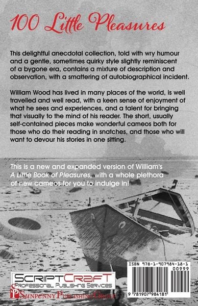 Produktbild: 100 Little Pleasures