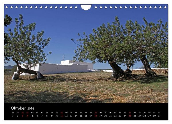 Produktbild: Zauberhaftes Ibiza (Wandkalender 2026 DIN A4 quer), CALVENDO Monatskalender