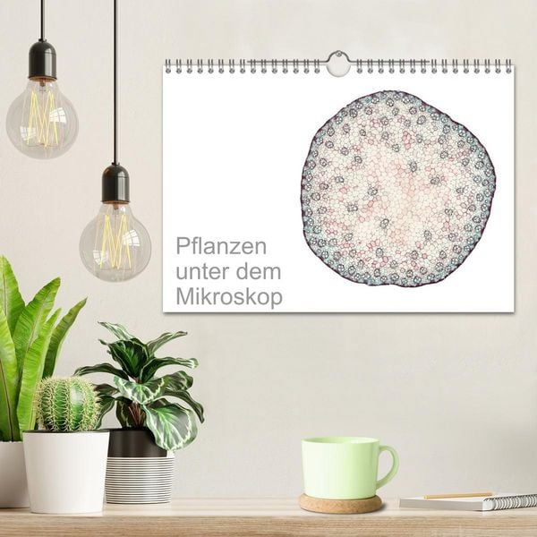 Produktbild: Pflanzen unter dem Mikroskop (Wandkalender 2026 DIN A4 quer), CALVENDO Monatskalender