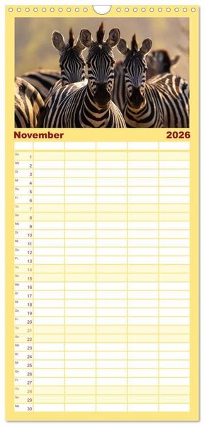 Produktbild: Familienplaner 2026 - Komm mit auf Safari! Botswana und S&uuml;dafrika mit 5 Spalten (Wandkalender, 21 x 45 cm) CALVENDO