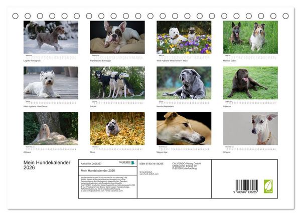 Produktbild: Mein Hundekalender 2026 (Tischkalender 2026 DIN A5 quer), CALVENDO Monatskalender