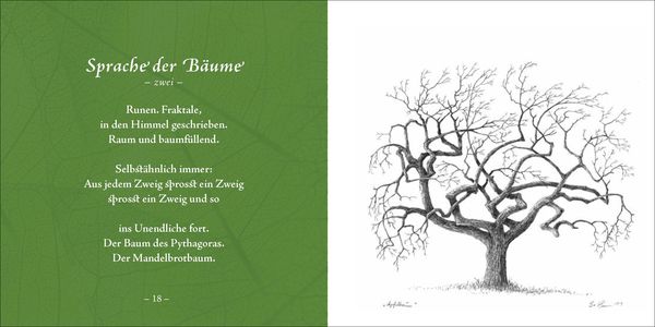 Produktbild: Bäume