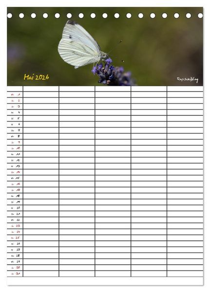 Produktbild: Schmetterlinge in Bayern (Tischkalender 2026 DIN A5 hoch), CALVENDO Monatskalender