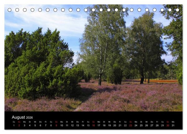 Produktbild: L&uuml;neburg und die L&uuml;neburger Heide (Tischkalender 2026 DIN A5 quer), CALVENDO Monatskalender