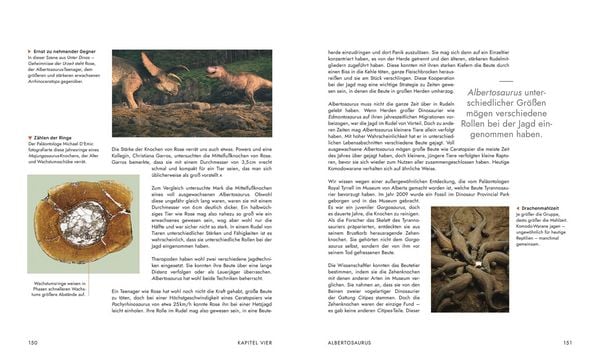Produktbild: Unter Dinos - Geheimnisse der Urzeit